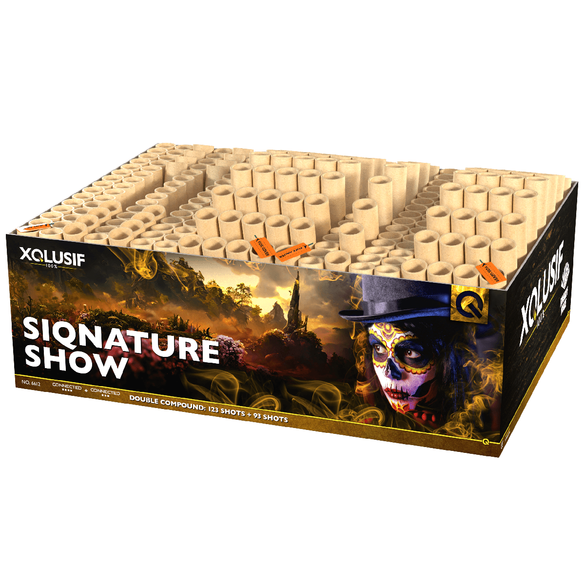 25072023144237SiqnatureShowvuurwerkkopen
